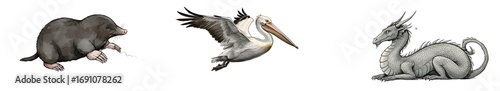 Whimsical Trio: Mole, Pelican, and Dragon Illustration on Black Background png clear alpha channel cutout isolated on transparent background