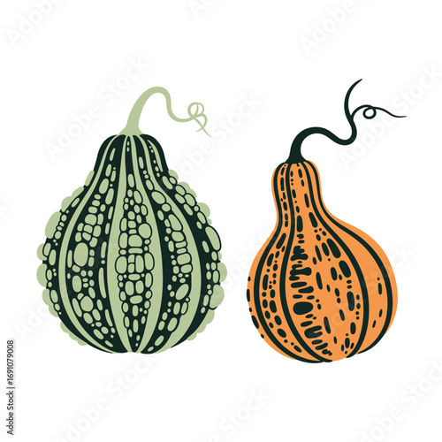 Two gourd pumpkins with unique textures and colors for autumn harvest decorations
