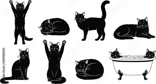 Cute black cat silhouettes in various poses including sitting, stretching, sleeping, and relaxing in a bathtub vector illustration.