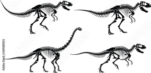 Detailed dinosaur skeleton vector set featuring various prehistoric species in side profile view for paleontology, fossil study, and educational design projects
