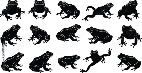 "Set of fifteen frog silhouettes in various poses, detailed vector illustration for wildlife, nature, amphibian, pond, and animal design projects"