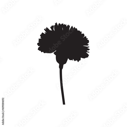 Carnation Vector (2).eps