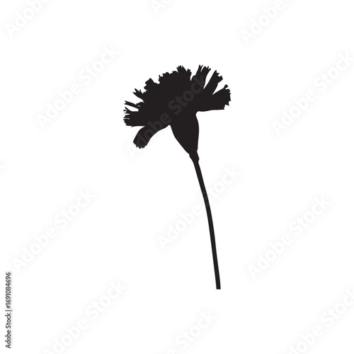 Carnation Vector (1).eps
