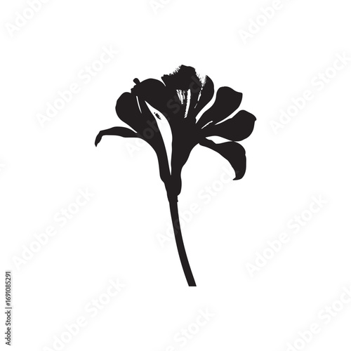 Freesia Vector (4).eps