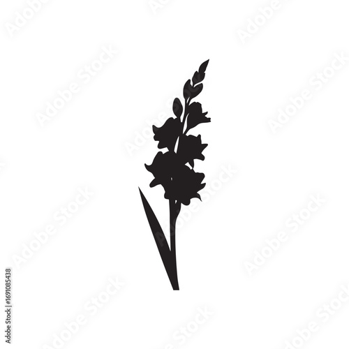 Gladiolus Vector (1).eps