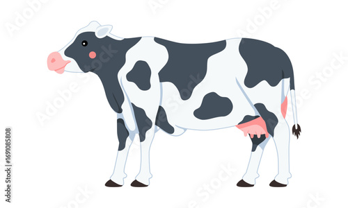 Illustration of a black and white Holstein cow standing on a white background.