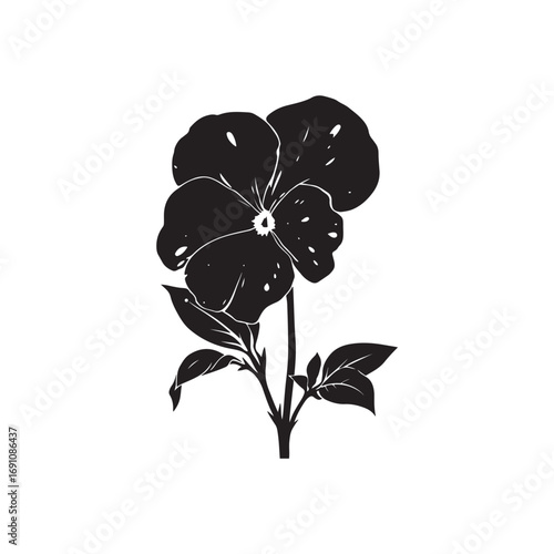 Pansy Vector (4).eps