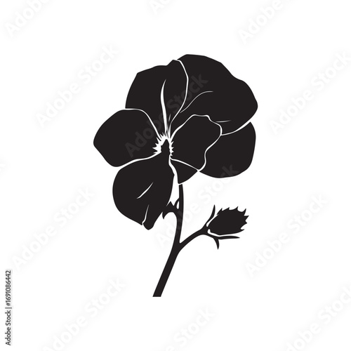 Pansy Vector (3).eps