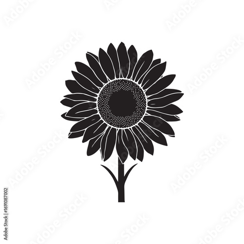 Sunflower Vector (4).eps