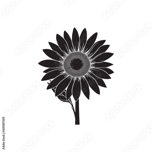 Sunflower Vector (3).eps