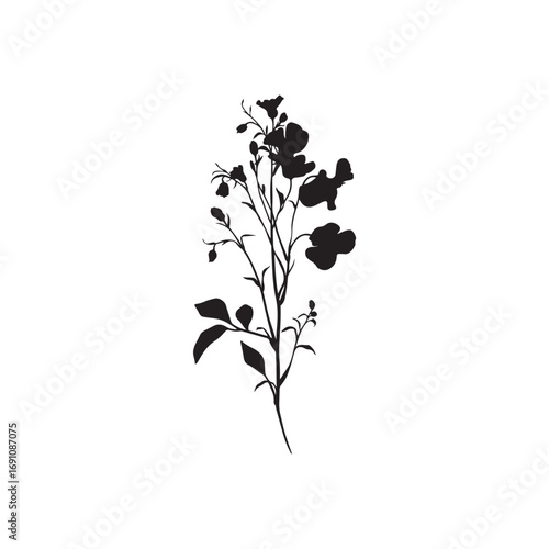 Sweet Pea Vector (2).eps