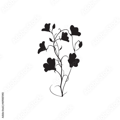 Sweet Pea Vector (4).eps