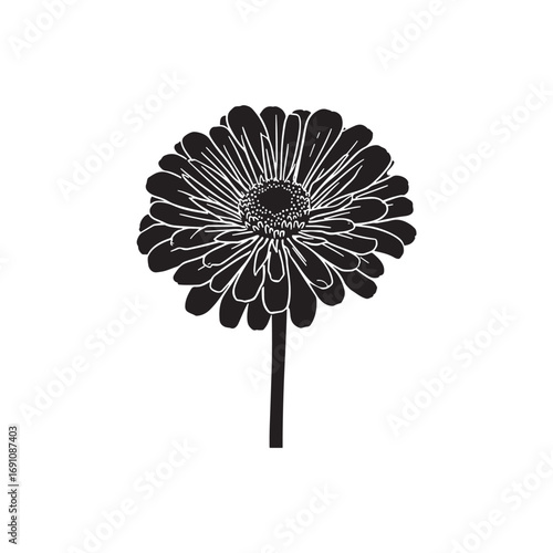 Zinnia Vector (2).eps