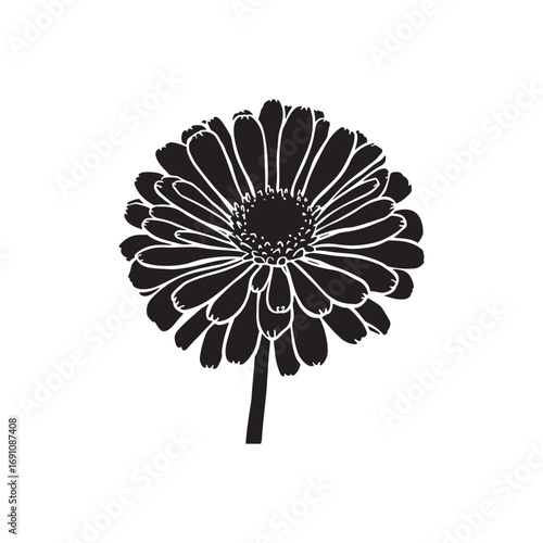 Zinnia Vector (1).eps