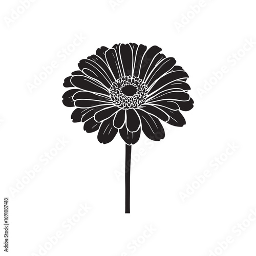 Zinnia Vector (3).eps