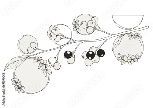 Colorful cherry illustration, fresh fruit, playful design, isolated on white background