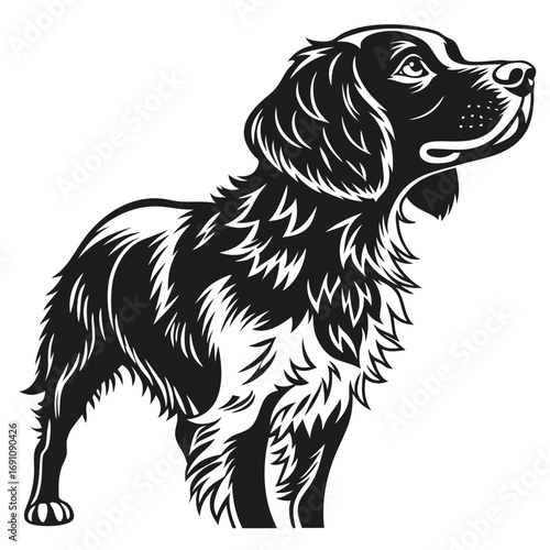 Black and white illustration of a brittany spaniel dog