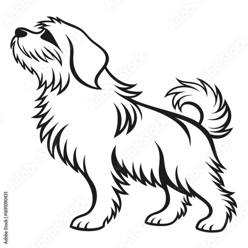 Stylized black and white illustration of a fluffy dog looking up