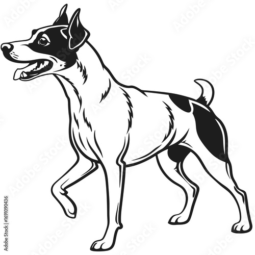 Black and white illustration of a jack russell terrier dog in motion