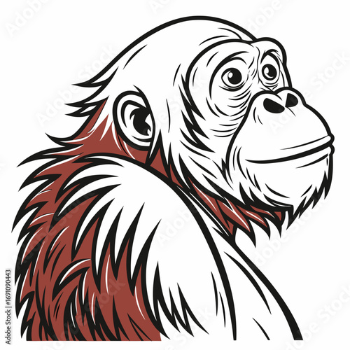 Stylized illustration of an orangutan head and shoulders looking to the side