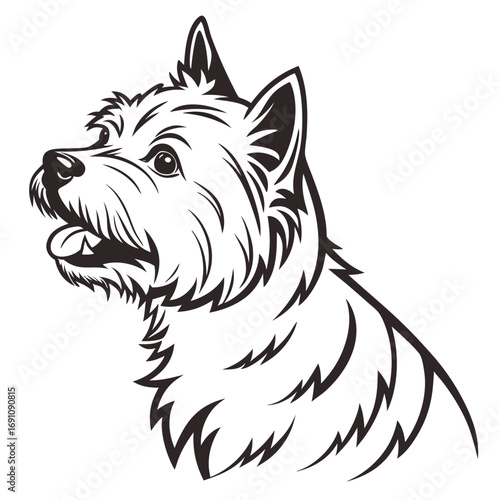 Stylized black and white illustration of a west highland white terrier dog head