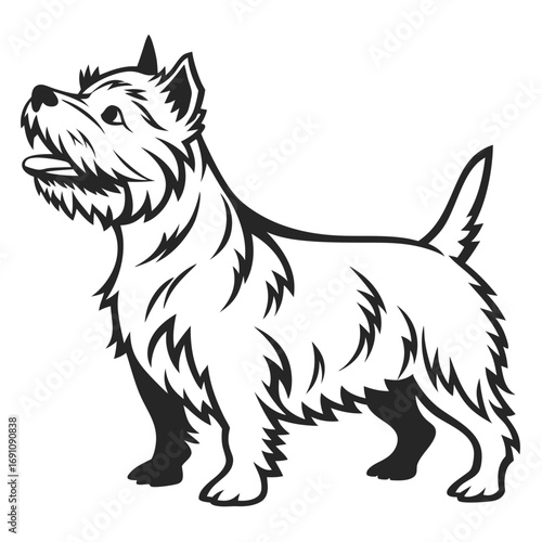 Stylized black and white illustration of a west highland white terrier dog