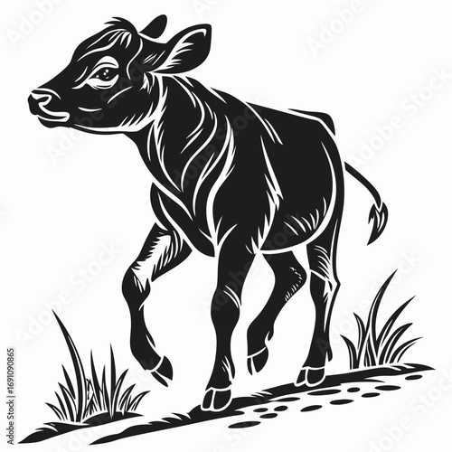 Black and white illustration of a young calf walking in grass