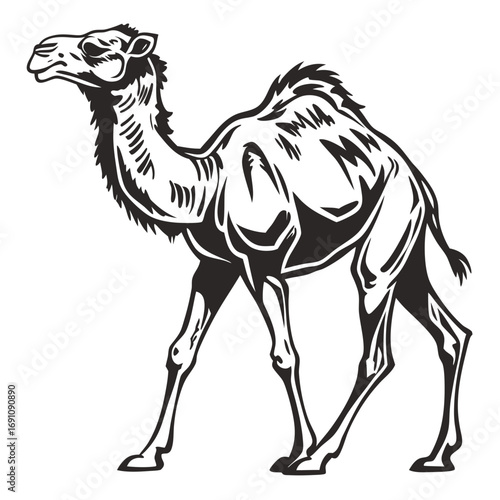 Stylized black and white illustration of a dromedary camel