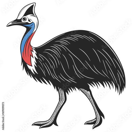 Illustration of a cassowary bird with colorful neck and crest