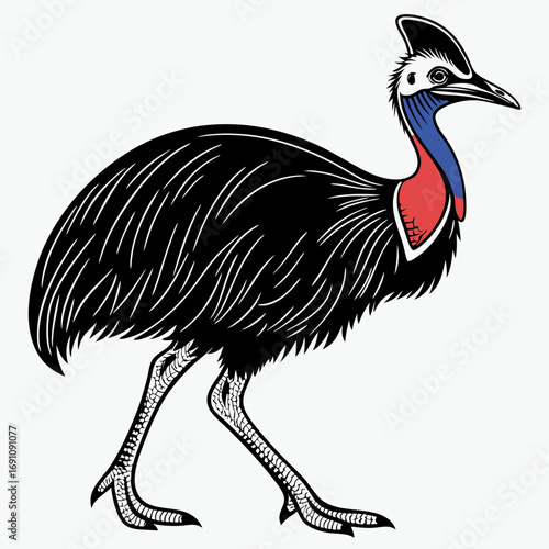 Stylized illustration of a cassowary bird