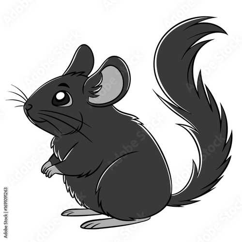 Cute cartoon chinchilla illustration on white background