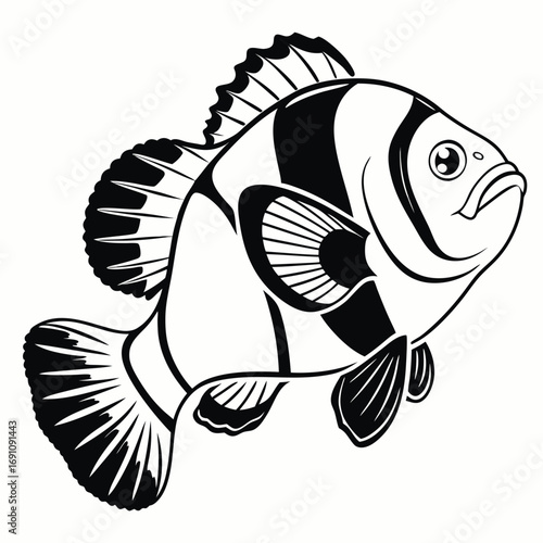 Black and white illustration of a clownfish