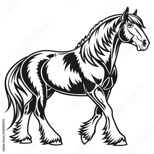 Powerful shire horse silhouette in black and white