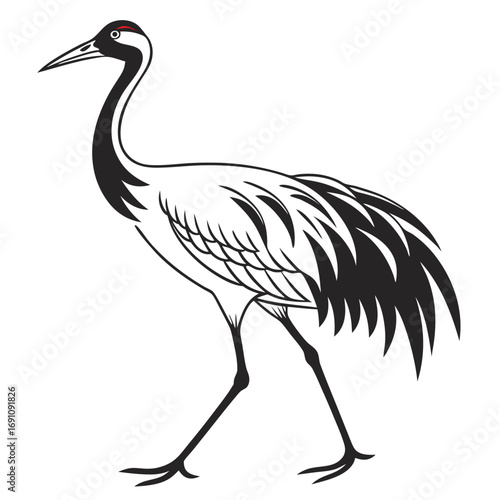 Elegant red crowned crane illustration in black and white