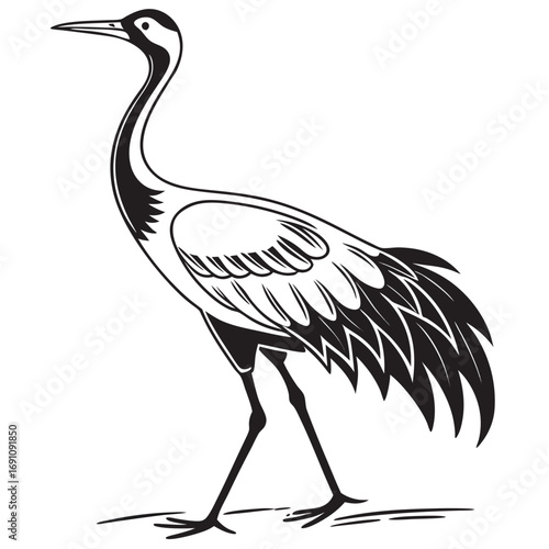 Elegant black and white illustration of a walking crane bird