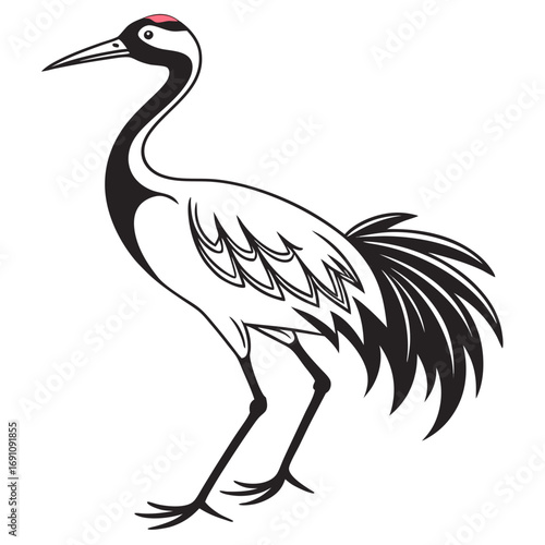 Elegant black and white illustration of a red crowned crane