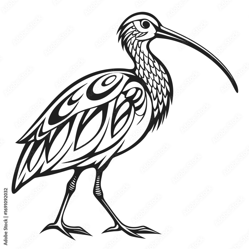 Fototapeta premium Stylized black and white illustration of a curlew bird