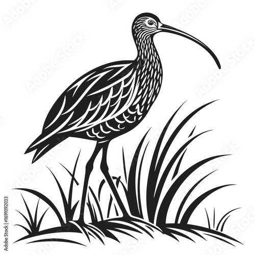 Stylized black and white illustration of a curlew bird standing in grass