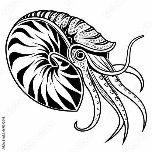 Stylized black and white illustration of a nautilus shell with tentacles