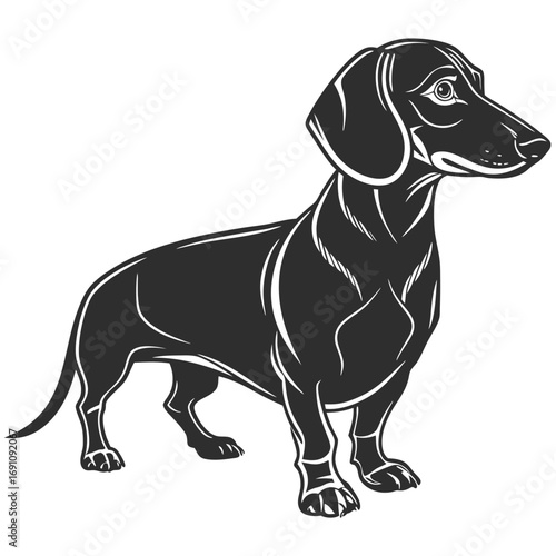 Stylized silhouette of a dachshund dog standing profile