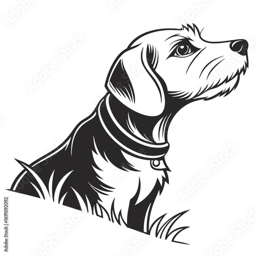 Stylized black and white illustration of a dog looking up