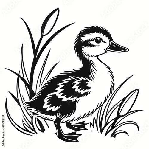 Cute baby duckling standing in tall grass and reeds black and white illustration