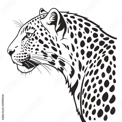 Black and white illustration of a leopard head in profile