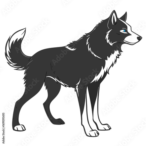 Stylized illustration of a black and white husky dog with blue eyes