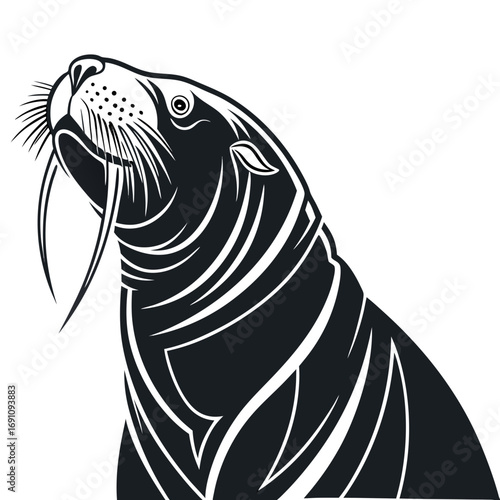 Stylized black and white walrus head illustration