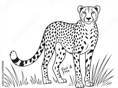 A detailed black and white line art of a cheetah standing in the grass, showcasing its distinctive spots and slender build, perfect for wildlife, animal, or nature-related content.
