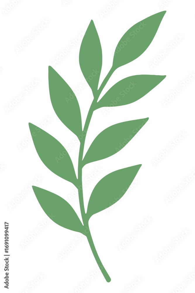 Fototapeta premium Green leaf branch illustration with multiple leaves and stem isolated on white