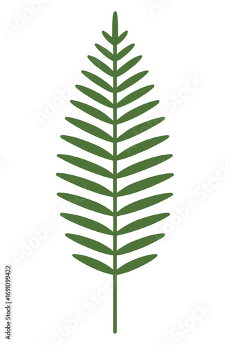 Green fern leaf illustration with symmetrical fronds isolated on white background