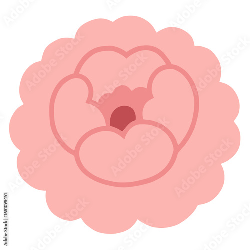 Pink peony flower illustration with layered petals and red center isolated on white