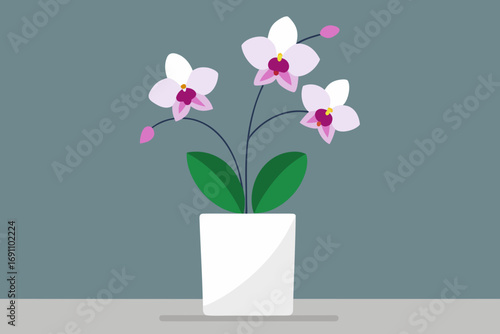 orchids in a minimalist white vase on a minimalist